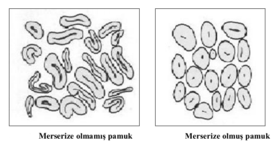 merserizasyon