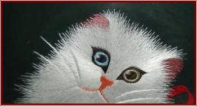 Cin ignesi