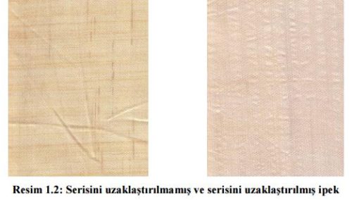 serisin