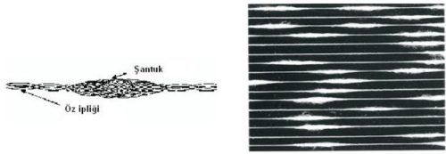 Santuk ipligi