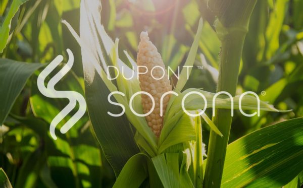 Dupont sorona