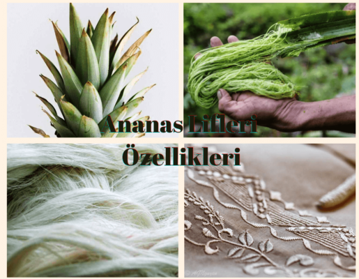Ananas
